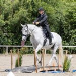 Seminar Working-Equitation